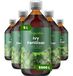 Organifer Engrais liquide pour lierre 5x1 L