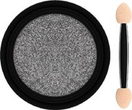 Bella Vida Mirror Effect Powder Silver