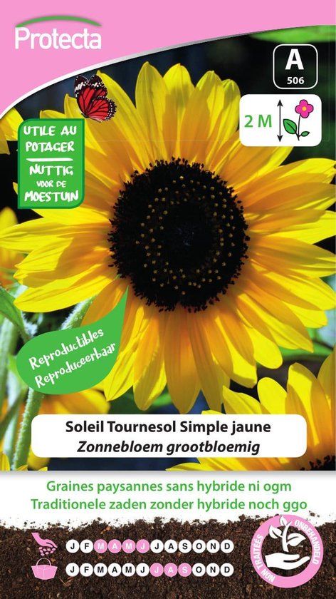 Protecta Bloemen zaden: Zonnebloem Grootbloemig - Geel - 200 cm