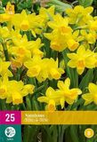 Jub Holland Narcissen Tête-à-tête bloembollen 25 stuks