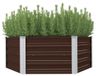 Jardinière surélevée marron 129x129x46 cm