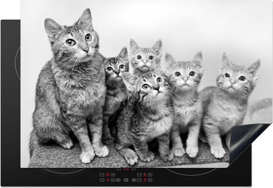 KitchenYeah® Inductie beschermer 77x51 cm - Nieuwsgierige kittens - zwart wit