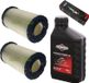 perfektGarten Briggs & Stratton Bougie + 2 filters + olie voor een grasmaaier met één cilinder en een vermogen van 13-24 pk