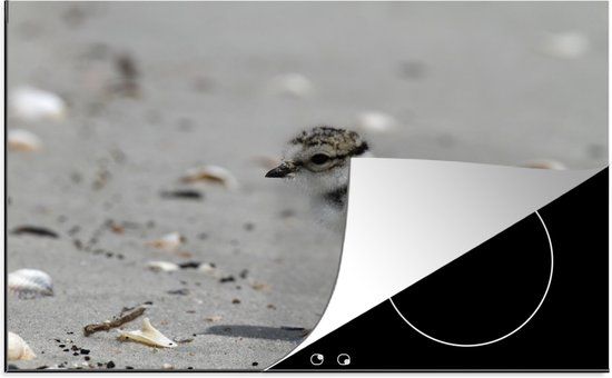 KitchenYeah® Inductie beschermer 77x51 cm - Waddenzee (2) - Inductie kookplaat accessoire