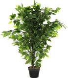 Item International Kunstplant Ficus plant in bloempot - Groen - 50 x 90 cm
