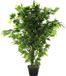 Item International Kunstplant Ficus plant in bloempot - Groen - 50 x 90 cm