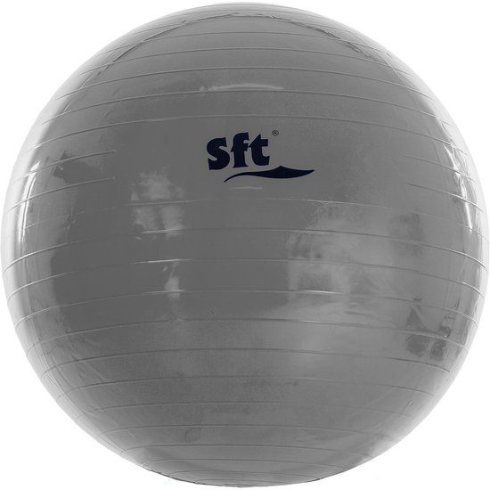Softee Giant Ball Softee Gris - 74
