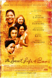 Sophie Okonedo Secret Life Of Bees dvd