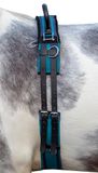 HKM Canvas met dubbele handgreep Longeersingel Marineblauw/Hemelsblauw Cob