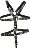 Zado – Ultieme Lederen Body Harnas met Testikel Ring en Studs Meervoudige Gespen – Zwart