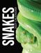 Snakes Libri GmbH Snakes 2027 Calendar Paperback
