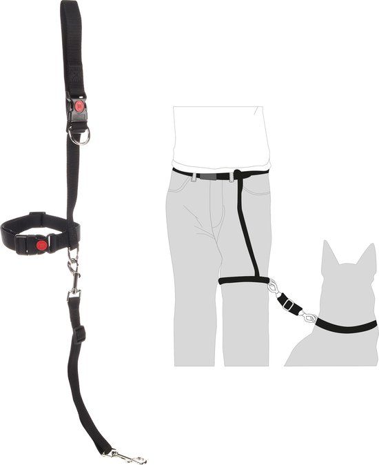 LEGLEADER Zwart Trainingslijn - Nylon - Maat M - 42-60CM - Hond