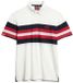 Superdry Lightweight Stripe Korte Mouw Poloshirt Wit S Man