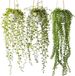 Ibenzoa® Trois plantes artificielles avec pots blancs