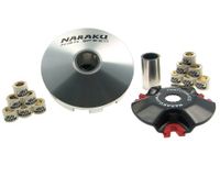 variomatik Naraku Variomatik Racing – Haar Chee Adly Cat 50