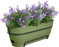 Elho Vibia Campana Trough Allin 1 50cm Plantenbak - Mosgroen