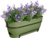 Elho Vibia Campana Trough Allin 1 50cm Plantenbak - Mosgroen