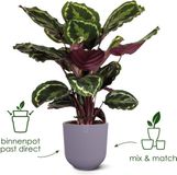 Elho Jazz Rond 35 Bloempot voor Binnen - Woondecoratie van 100% Gerecycled Plastic - Ø 34.5 x H 32.2 cm - Zijdewit