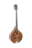 GEWA Irish Bouzouki Pro Arte Antique