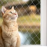 Lionto Kattennet, beschermingsnet voor balkon, maat S, 3 x 4 m
