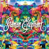 Crystals Shaman Elephant - Crystals