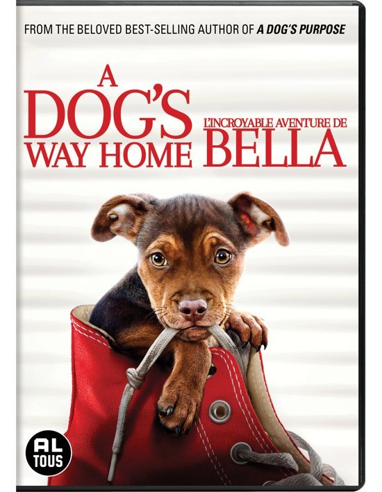 - A Dog's Way Home dvd