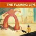 Yoshimi Flaming Lips,the Yoshimi Battles the Pink Robots LP