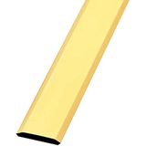 Amig - Vloerprofiel - 720 mm x 34 mm - Gladde overgangsstrip met zelfklevende achterkant - Randafwerking voor voegen van hout, parket, vlonderplanken, marmer en tegels - Messing - Goudkleurig