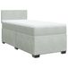 vidaXL Boxspringbed met matras, fluweel, lichtgrijs, 80x200 cm