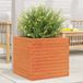 Maison Exclusive - Pot de fleurs pour le jardin, brun foncé, 50 x 50 x 46 cm, bois de pin massif