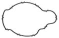 Gasket, Icecat Gasket, thermostat
