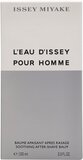 Issey Miyake / L'Eau d'Issey Pour Homme / 100 ml / heren
