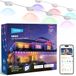 NEEWER Permanente buitenverlichting, 30 m, voor decoratie van het huis, lichtketting voor buiten, dakgoten, Kerstmis, Smart AI RGBCW, 60 ledlampen, app-besturing 50 + scènes, IP65 waterdicht