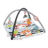 Fisher-Price 3-in-1 Muziek Glow & Grow Speelgoed voor pasgeborenen | HPF39 Babyspeelmat