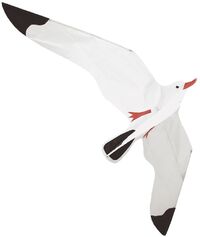 rhombus Seagull