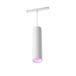 Philips Hue Perifo Suspension Intelligente - Blanc - Bluetooth - LED Intégré