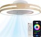WERYOU® illuminAIR Plafondventilator - Plafonniere - Plafondventilator met Afstandsbediening - Plafondlamp - Plafond ventilator met Verlichting - Ventilator lamp - RGB Ledlamp - Hout Design