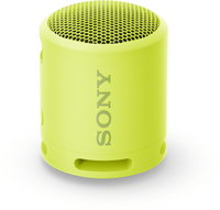 Sony SRSXB13