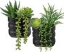 Merkloos Succulente Artificielle dans Pot en Céramique Noir