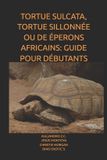 TORTUE Bol Tortue Sulcata, Tortue Sillonnée Ou de Éperons Africains