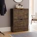 Vida Designs Schoenenkast met 2 laden, ruimtebesparende slanke schoenopbergkast met 2 klapladen, hal- en woonkamermeubels FSC 100 gecertificeerd (donker hout)