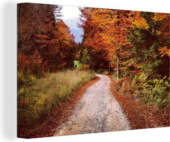 OneMillionCanvasses Canvas schilderij 140x90 cm - Herfst - Herfstbladeren - Pad - Bos - Multicolor