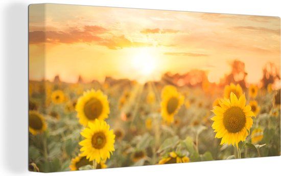 OneMillionCanvasses Canvas schilderij 160x80 cm - Zonnebloem - Multicolor - Rechthoek