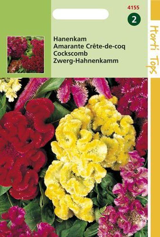 Hortitops Celosia Bloemzaad Cristata Nana Gemengd