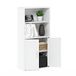 Furinno Pasir Opbergboekenkast met 2 open planken en 2 deuren, wit