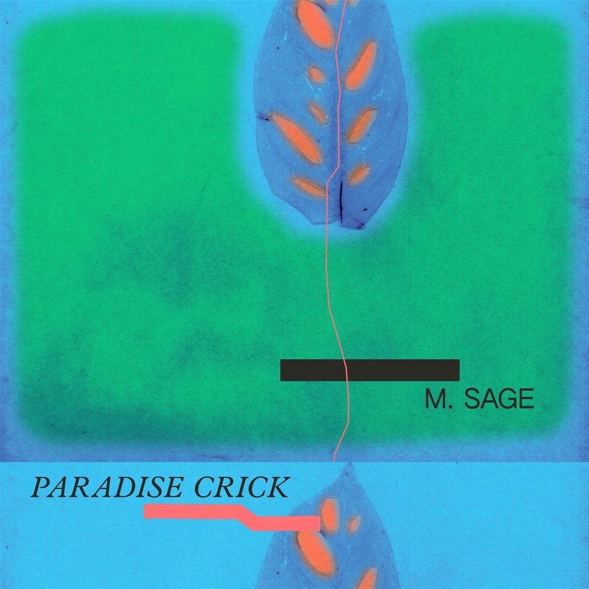 Konkurrent M. Sage - Paradise Prick (LP)