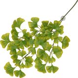 Terra Della - Aquariumdecoratie - Reptielen - Hangende Plant Ginko 63x36x5cm Groen