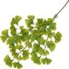 Terra Della - Aquariumdecoratie - Reptielen - Hangende Plant Ginko 63x36x5cm Groen