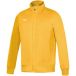 Mizuno Trainingsjas Team Core