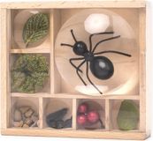 Kikkerland Huckleberry Bug Box